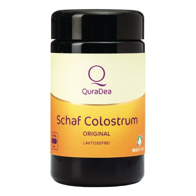 QuraDea Organic Schafkolostrum Lammkolostrum-basierte Probiotika, 120 Kapseln